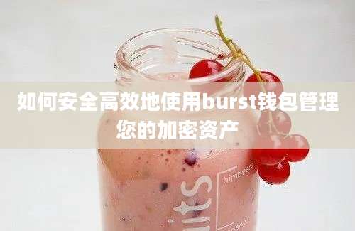 如何安全高效地使用burst钱包管理您的加密资产