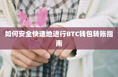 如何安全快速地进行BTC钱包转账指南