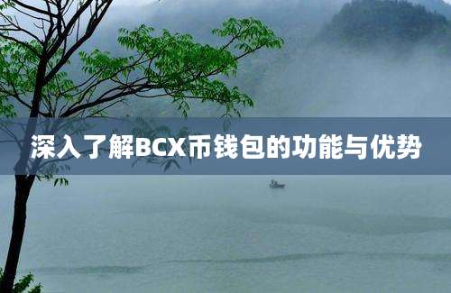 深入了解BCX币钱包的功能与优势