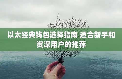 以太经典钱包选择指南 适合新手和资深用户的推荐