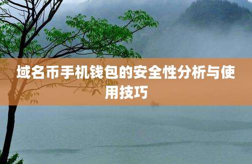 域名币手机钱包的安全性分析与使用技巧