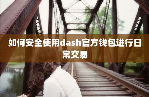 如何安全使用dash官方钱包进行日常交易