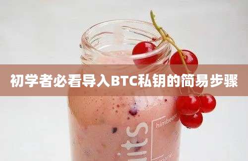 初学者必看导入BTC私钥的简易步骤