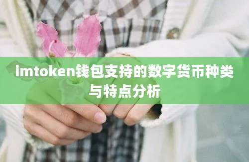 imtoken钱包支持的数字货币种类与特点分析