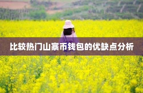 比较热门山寨币钱包的优缺点分析