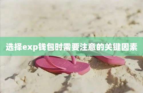 选择exp钱包时需要注意的关键因素