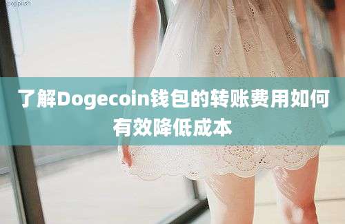 了解Dogecoin钱包的转账费用如何有效降低成本