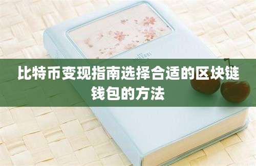 比特币变现指南选择合适的区块链钱包的方法