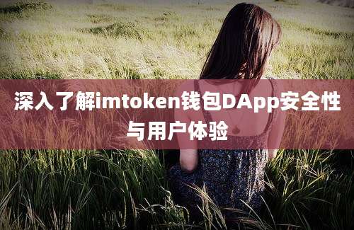 深入了解imtoken钱包DApp安全性与用户体验