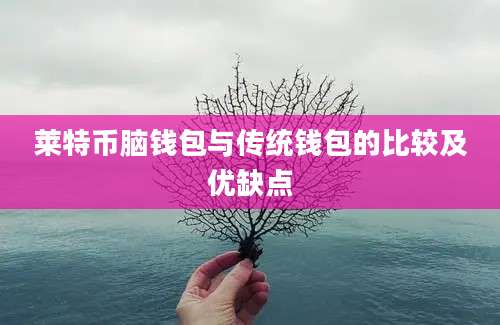 莱特币脑钱包与传统钱包的比较及优缺点