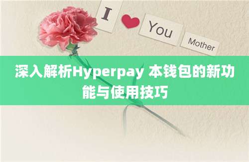 深入解析Hyperpay 本钱包的新功能与使用技巧