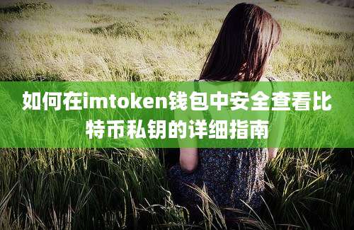 如何在imtoken钱包中安全查看比特币私钥的详细指南