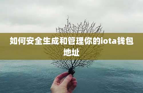 如何安全生成和管理你的iota钱包地址