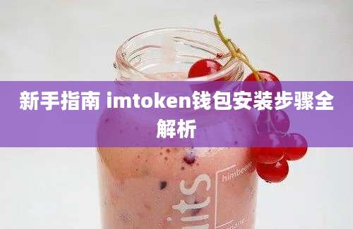 新手指南 imtoken钱包安装步骤全解析