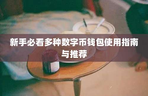 新手必看多种数字币钱包使用指南与推荐