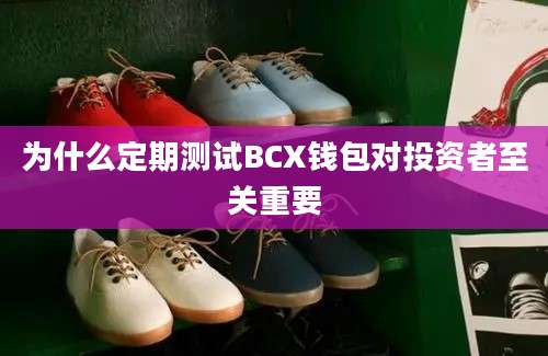 为什么定期测试BCX钱包对投资者至关重要