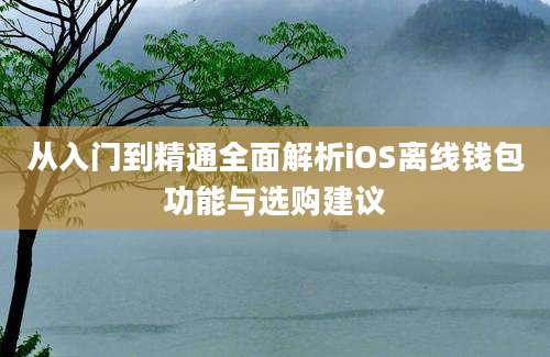 从入门到精通全面解析iOS离线钱包功能与选购建议