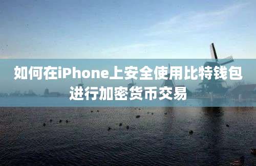 如何在iPhone上安全使用比特钱包进行加密货币交易