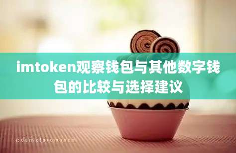 imtoken观察钱包与其他数字钱包的比较与选择建议