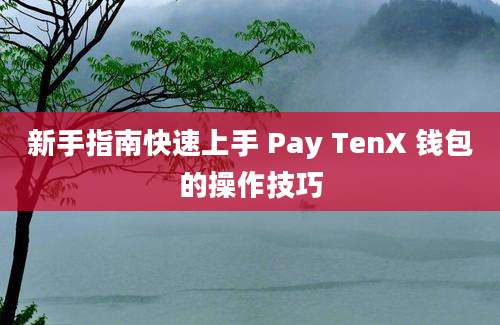 新手指南快速上手 Pay TenX 钱包的操作技巧