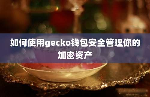 如何使用gecko钱包安全管理你的加密资产