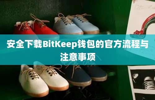 安全下载BitKeep钱包的官方流程与注意事项