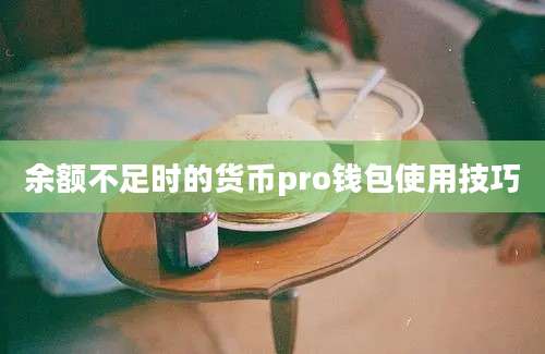 余额不足时的货币pro钱包使用技巧