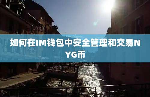 如何在IM钱包中安全管理和交易NYG币