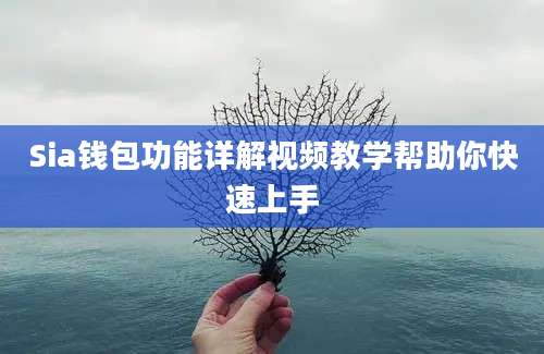 Sia钱包功能详解视频教学帮助你快速上手