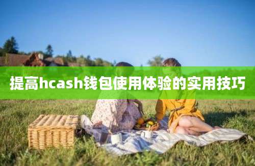 提高hcash钱包使用体验的实用技巧