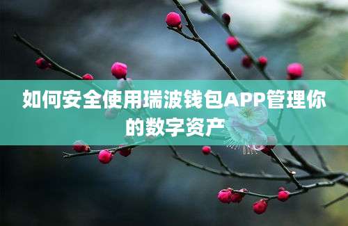 如何安全使用瑞波钱包APP管理你的数字资产