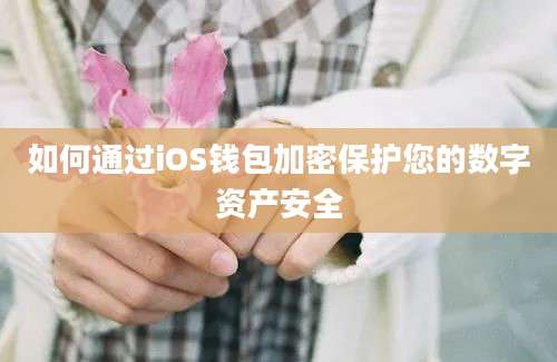 如何通过iOS钱包加密保护您的数字资产安全