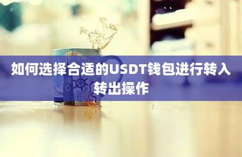 如何选择合适的USDT钱包进行转入转出操作