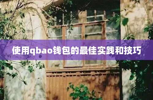 使用qbao钱包的最佳实践和技巧