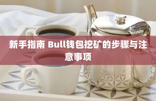 新手指南 Bull钱包挖矿的步骤与注意事项