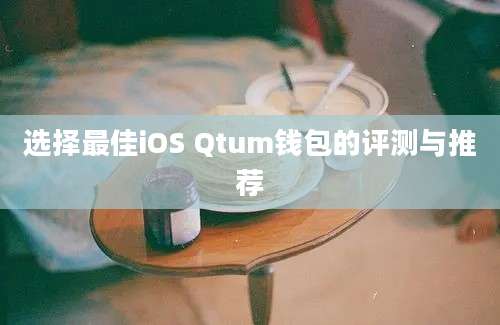 选择最佳iOS Qtum钱包的评测与推荐