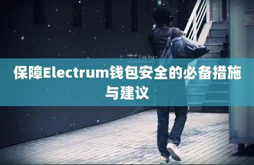 保障Electrum钱包安全的必备措施与建议