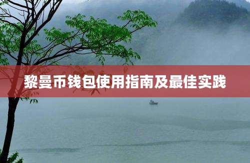 黎曼币钱包使用指南及最佳实践