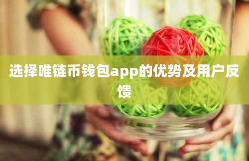 选择唯链币钱包app的优势及用户反馈