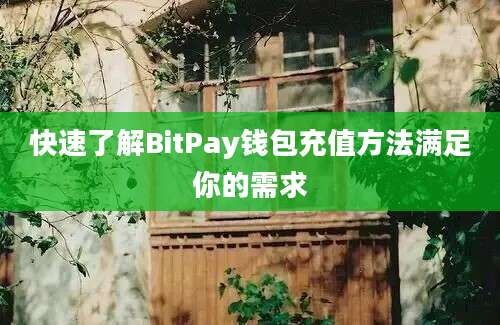 快速了解BitPay钱包充值方法满足你的需求