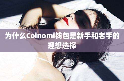 为什么Coinomi钱包是新手和老手的理想选择