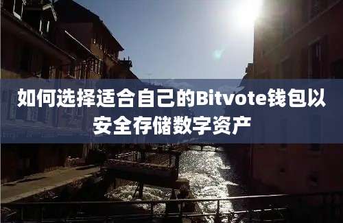 如何选择适合自己的Bitvote钱包以安全存储数字资产