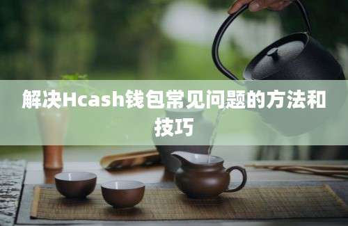 解决Hcash钱包常见问题的方法和技巧