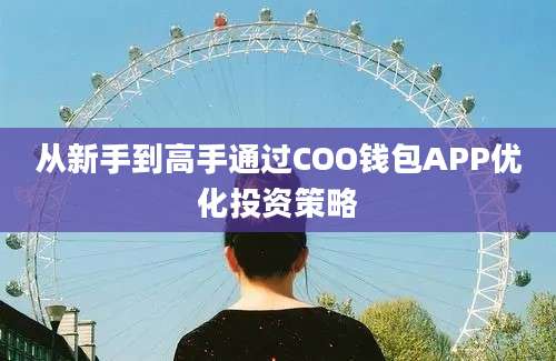 从新手到高手通过COO钱包APP优化投资策略