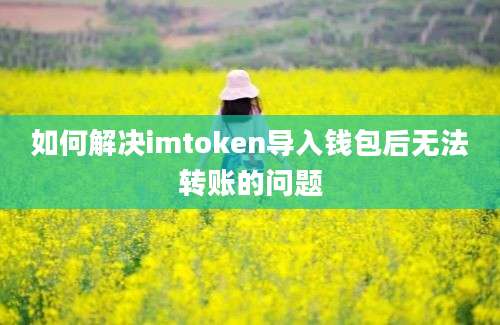 如何解决imtoken导入钱包后无法转账的问题