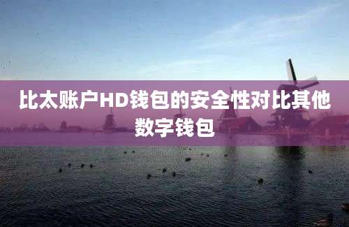 比太账户HD钱包的安全性对比其他数字钱包