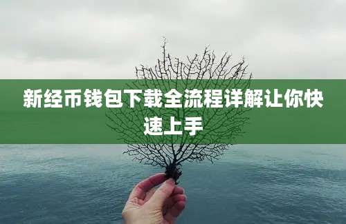 新经币钱包下载全流程详解让你快速上手