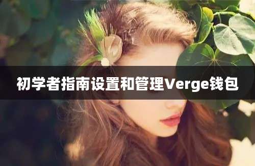 初学者指南设置和管理Verge钱包