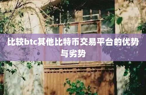 比较btc其他比特币交易平台的优势与劣势