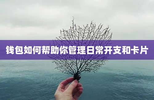 钱包如何帮助你管理日常开支和卡片